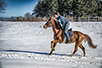 Gallop through the snow, on Tara (Photo: ”Tara–Drina” Tourist Organization, Bajina Bašta)